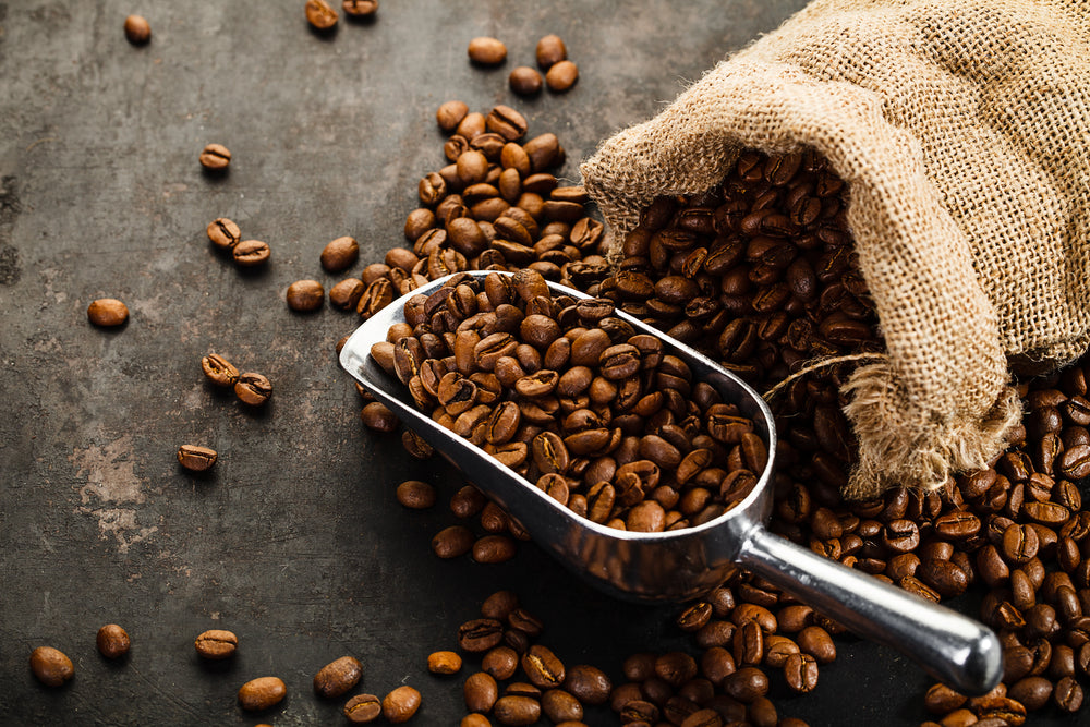 The History of Coffee: The Story Of Civilization In A Cup