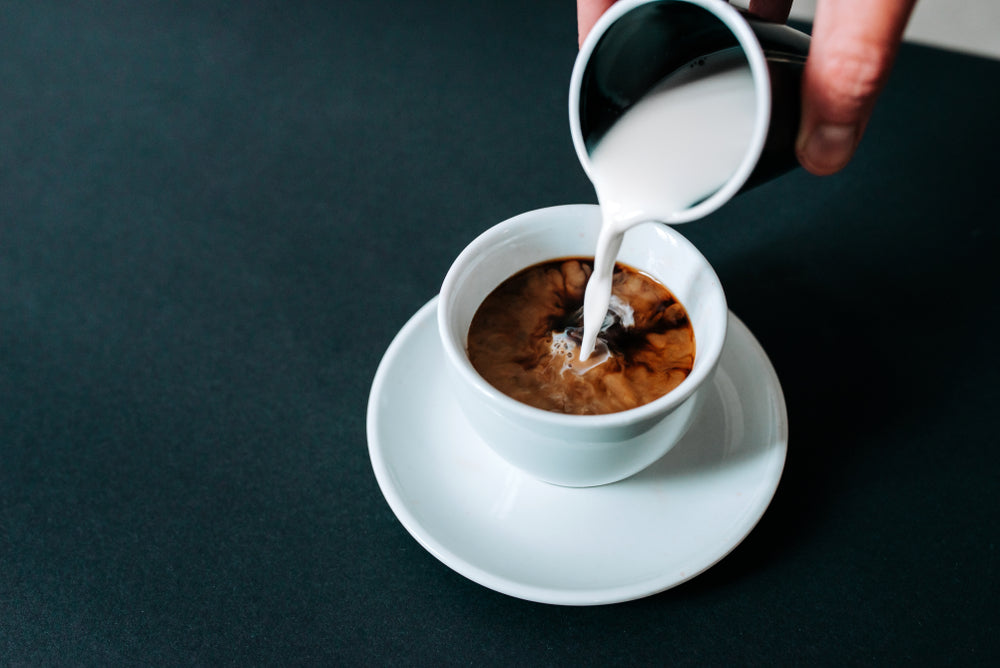 HOW TO MAKE CREAMERS FOR YOUR COFFEE