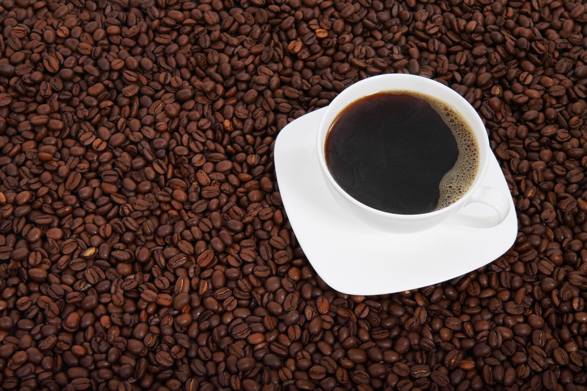 HOW TO AVOID BURNING YOUR COFFEE
