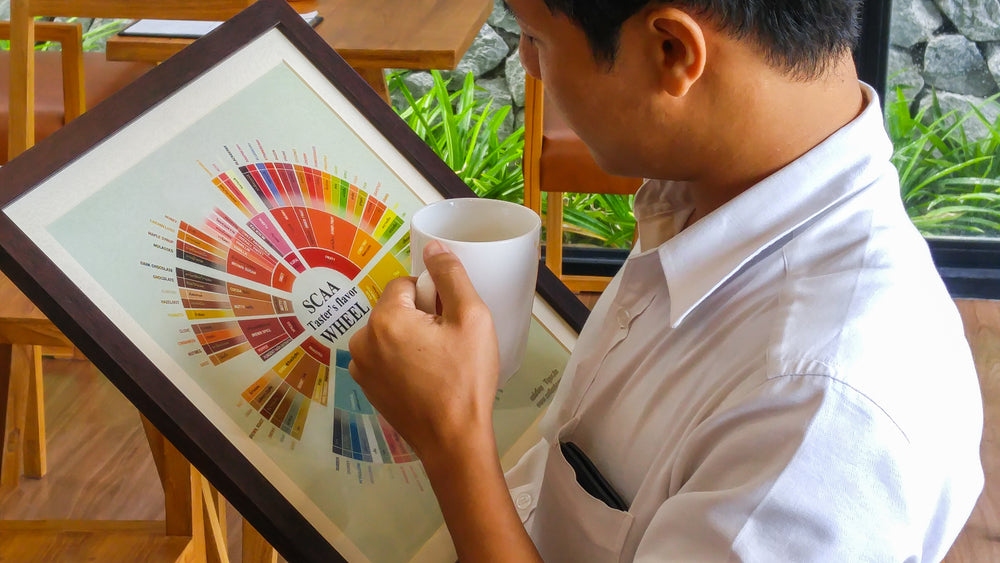 COFFEE FLAVORS EXPLAINED