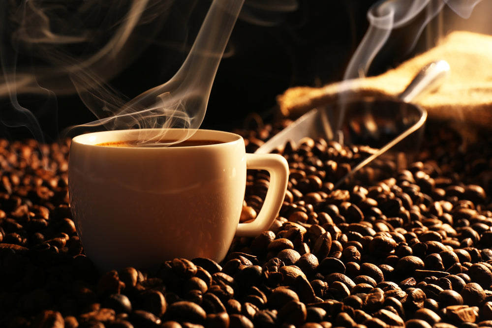 HOW TO BREW WITH A MELITTA COFFEE MACHINE