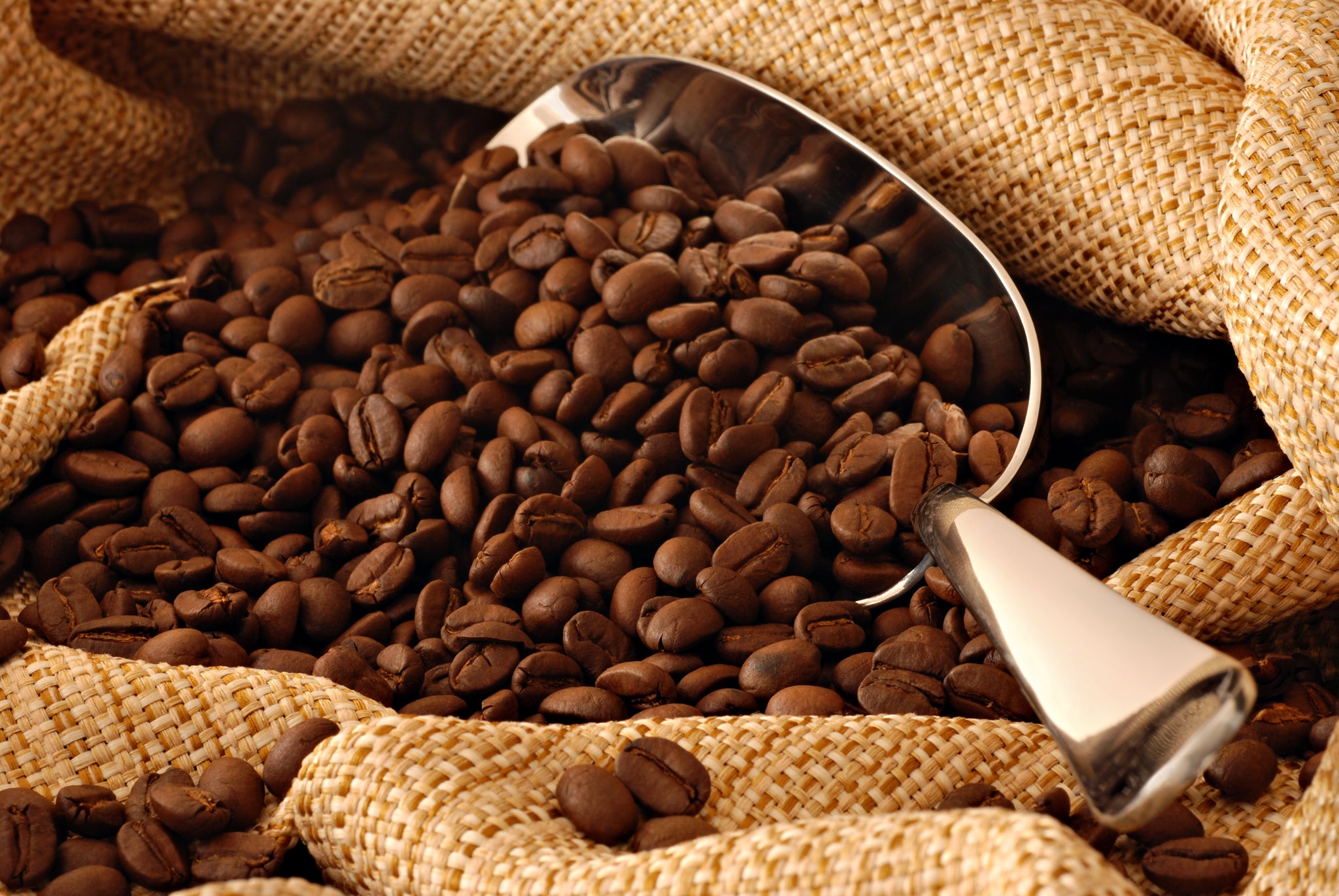 WHAT COFFE BEANS SHOULD I BUY