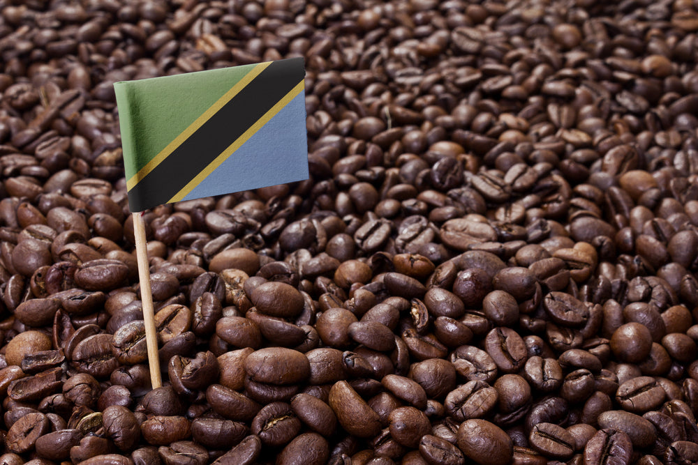 TANZANIAN COFFEE BEANS- A COMPLETE GUIDE