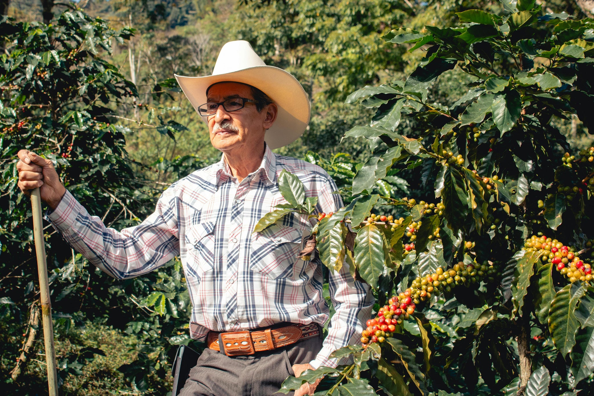 Best Coffee Subscription for Families: Keep Everyone Caffeinated with Fresh Beans