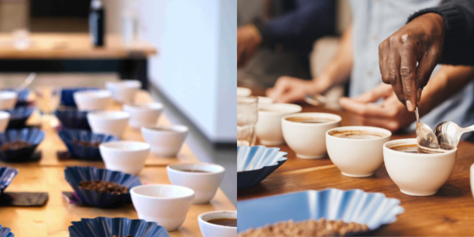 COFFEE CUPPING
