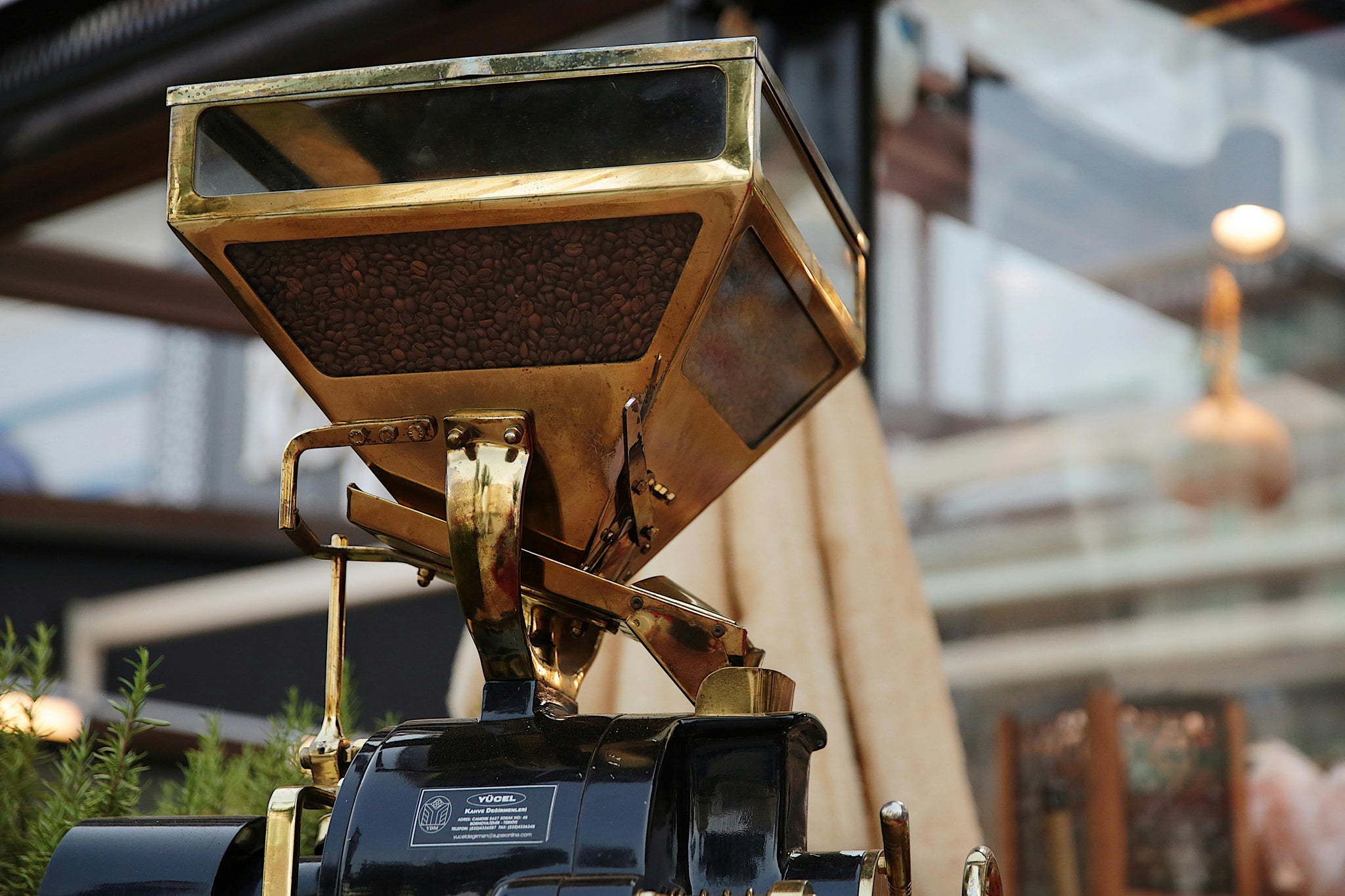 A Comprehensive Guide to Excelsa Coffee Beans