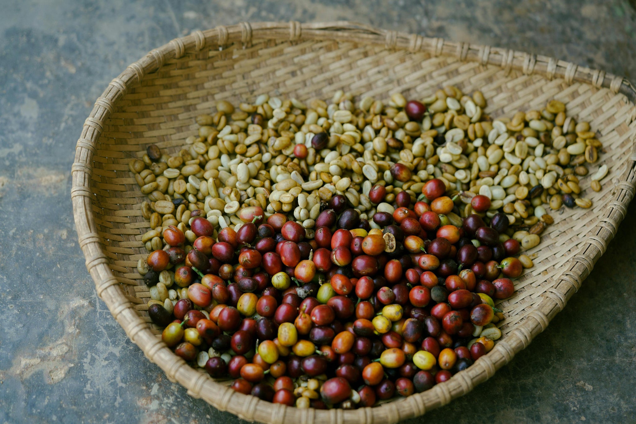 Coffee Processing Methods: Washed, Natural and Honey Explained