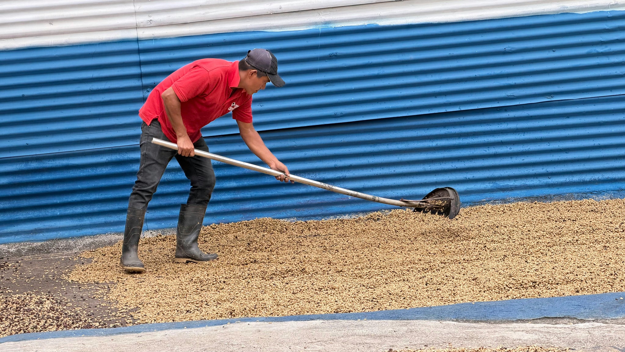 Colombian Coffee Guide: History, Regions & How to Choose the Best Beans