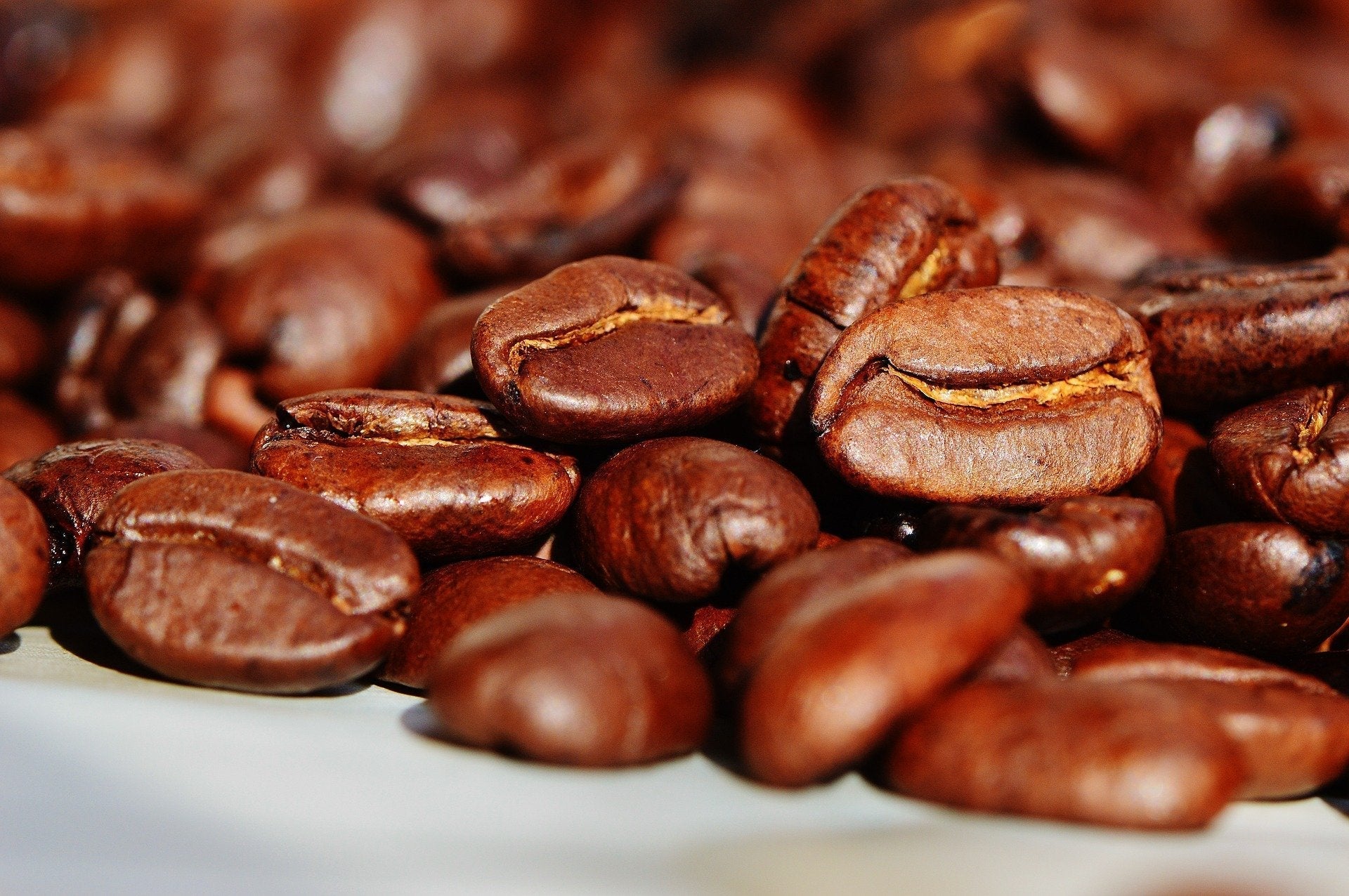 Best Way to Store Coffee Beans: A Complete Guide