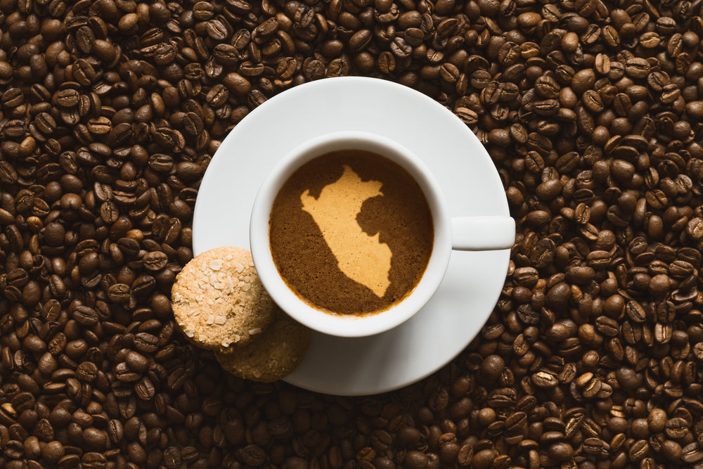 ALL YOU NEED TO KNOW ABOUT PERUVIAN COFFEE
