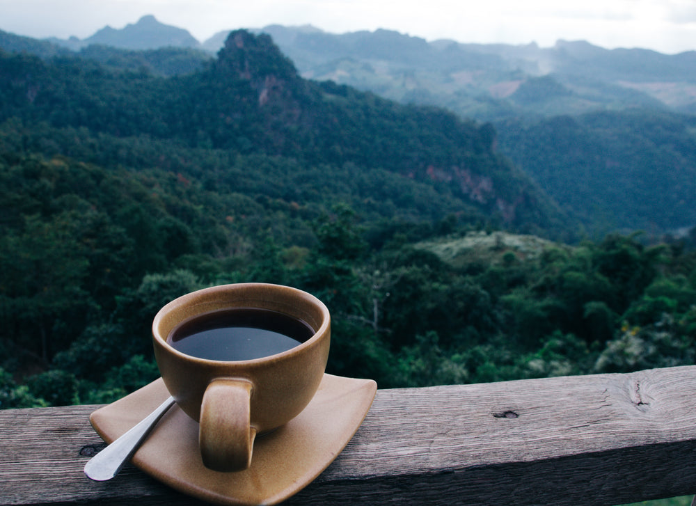 HOW DOES ALTITUDE AFFECT THE FLAVOR OF YOUR COFFEE?