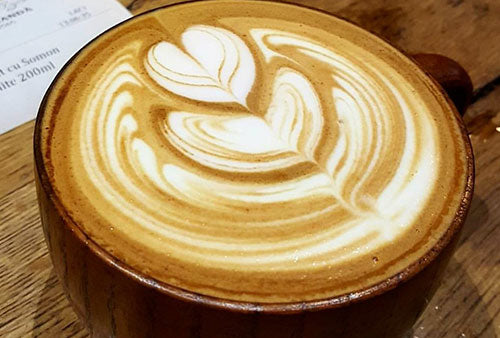 What is Barista Milk? Best Milk Brand for Coffee in Australia