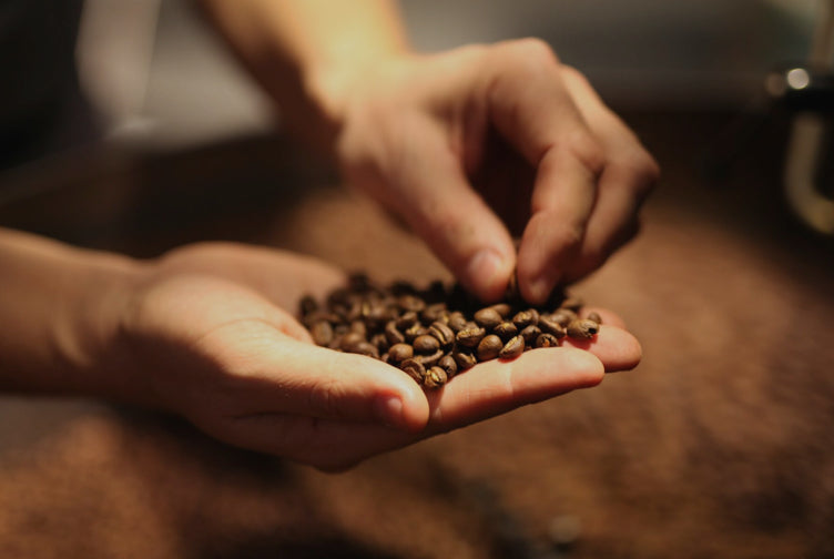 THE 2026 ULTIMATE GUIDE TO BUYING COFFEE BEANS IN AUSTRALIA